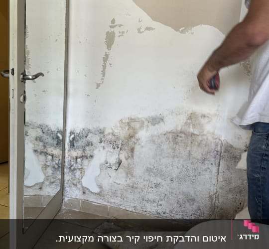 קיר עם עובש בתהליך שיפוץ, גבר עם כלי עבודה